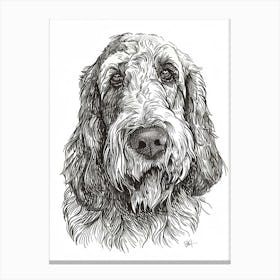 Long Haired Dog Black & White Line Sketch Canvas Print