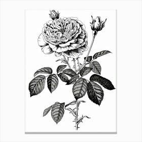 Black And White Rose Line Drawing 11 Canvas Print
