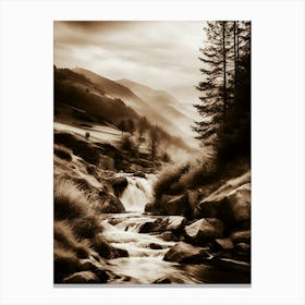 Stream In The Mountains 4 Canvas Print