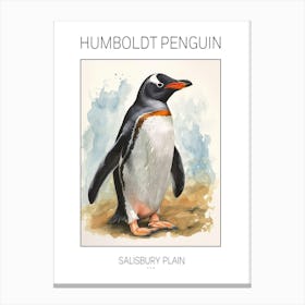 Humboldt Penguin Salisbury Plain Watercolour Painting 3 Poster Canvas Print