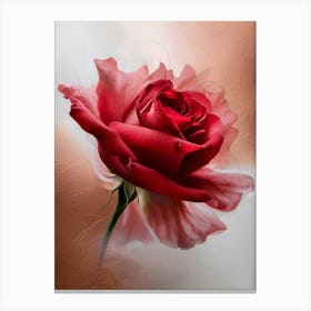 Red Rose 2 Canvas Print