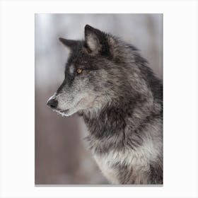 Black Wolf Profile Canvas Print