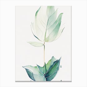 Water Lily Leaf Minimalist Watercolour 2 Canvas Print