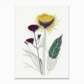 Elecampane Spices And Herbs Minimal Line Drawing 2 Canvas Print