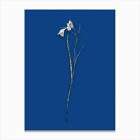 Vintage Blue Pipe Black and White Gold Leaf Floral Art on Midnight Blue n.0794 Canvas Print