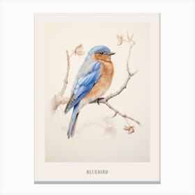 Vintage Bird Drawing Bluebird 1 Poster Canvas Print