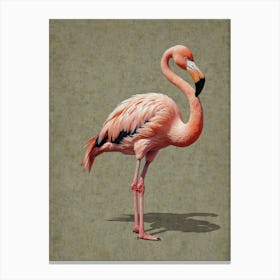 Flamingo 36 Canvas Print