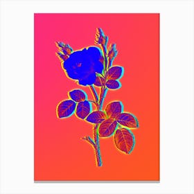 Neon White Misty Rose Botanical in Hot Pink and Electric Blue Canvas Print