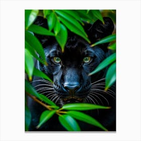 Black Panther 2 Canvas Print