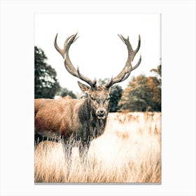 Large Bull Elk Canvas Print