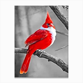 Red Cardinal Canvas Print