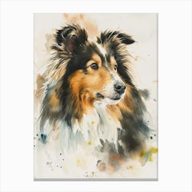 Shetland Sheepdog Watercolor Painting 3 Canvas Print