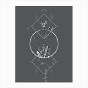 Vintage Gladiolus Junceus Botanical with Line Motif and Dot Pattern in Ghost Gray n.0393 Canvas Print