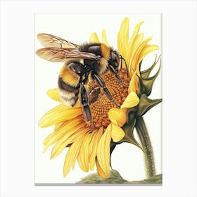 Carpenter Bee Storybook Illustration 6 Canvas Print