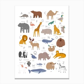 Animal Alphabet White Canvas Print