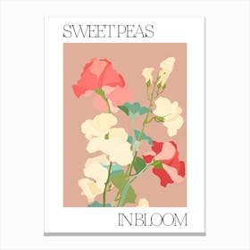 Sweet Peas In Bloom Flowers Bold Illustration 3 Canvas Print