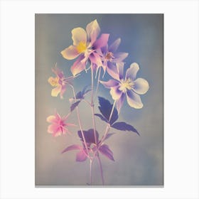 Iridescent Flower Columbine 4 Canvas Print