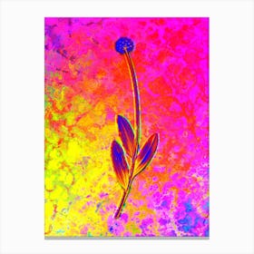 Victory Onion Botanical in Acid Neon Pink Green and Blue n.0287 Canvas Print