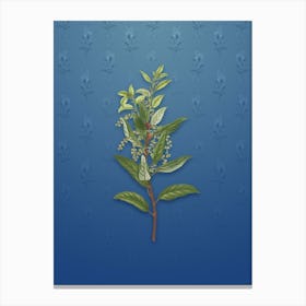 Vintage Evergreen Oak Botanical on Bahama Blue Pattern Canvas Print