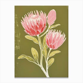 Pink & Green Protea 2 Canvas Print