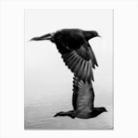 Black And White Phography. Two Black Birds. Vertical Version. Canvas Print