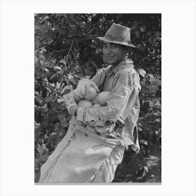 Untitled Photo, Possibly Related To Picking Grapefruit Near Weslaco, Texas By Russell Lee Canvas Print