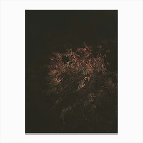 Illuminated Lone Tree on a Quiet Night in Hoxton, London Canvas Print