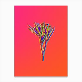 Neon Witsenia Maura Botanical in Hot Pink and Electric Blue Canvas Print