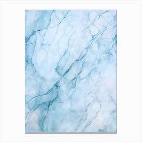 Blue Marble Canvas Print