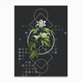 Vintage Guelder Rose Botanical with Geometric Line Motif and Dot Pattern n.0335 Canvas Print