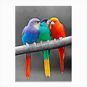 Three Colorful Parrots Canvas Print