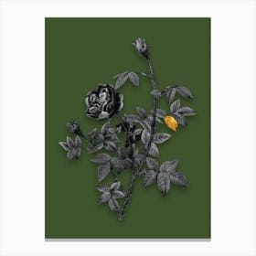 Vintage Moss Rose Black and White Gold Leaf Floral Art on Olive Green n.1201 Canvas Print