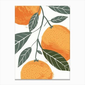 Tangerines Close Up Illustration 2 Canvas Print