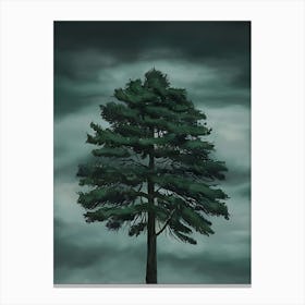 Pine Tree Canvas Print