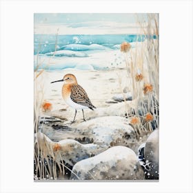 Winter Bird Painting Dunlin 3 Canvas Print