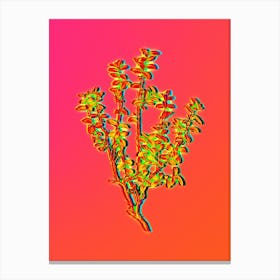 Neon Cape Myrtle Botanical in Hot Pink and Electric Blue n.0523 Canvas Print