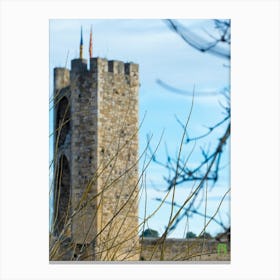 Tower Of The Castle 20210101 88ppub Canvas Print