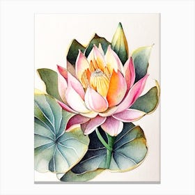 Double Lotus Watercolour Ink Pencil 3 Canvas Print