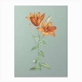 Vintage Orange Bulbous Lily Botanical Art on Mint Green Canvas Print