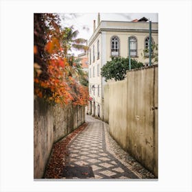 Sintra Autumn Alley Nature Palette Canvas Print