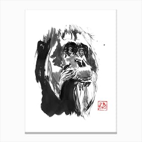 Orangutan 2 Canvas Print