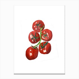 Watercolor Of Tomatoes Canvas Print