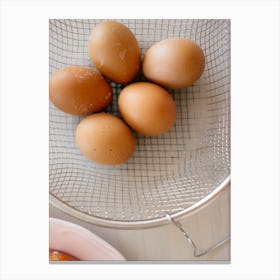 Eggs In A Basket 5 Canvas Print