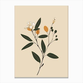 Magnolia Canvas Print