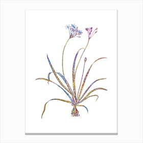 Stained Glass Allium Fragrans Mosaic Botanical Illustration on White Canvas Print