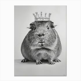 Guinea Pig 2 Canvas Print