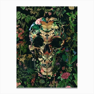 Papillon Skull Canvas Print