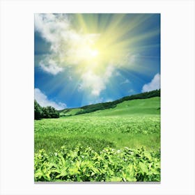 Green Field With Sun Canvas Print