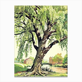 Willow Tree Storybook Illustration 3 Canvas Print