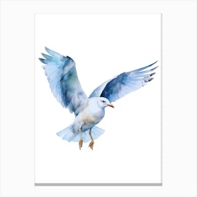 Watercolor Seagull In Flight Canvas Print